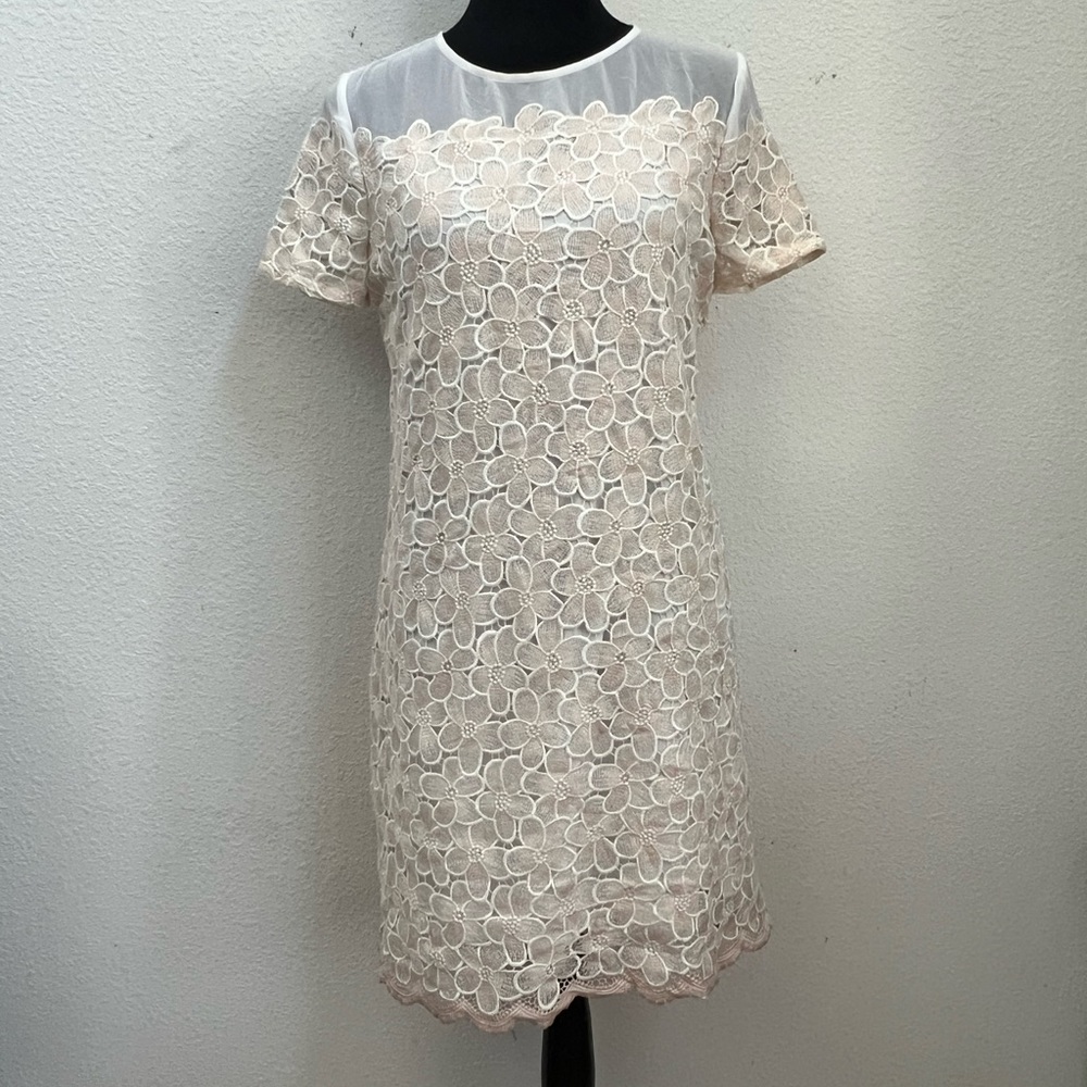 NWT Madison Jules Beirut Daisy Dress